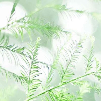 暗黑主宰畅玩版官方版下载